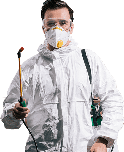 Преимущества Sterra